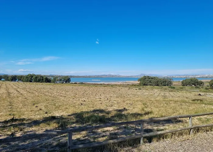 A Modern With A Large Solari Rojales